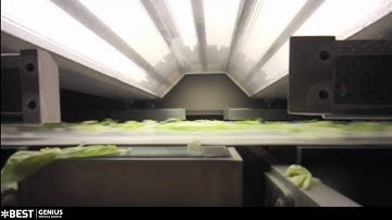 Iceberg sorting machine Genius - TOMRA Sorting