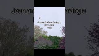 #aot  #I miss eren bird meme#eren #foryou #fyp