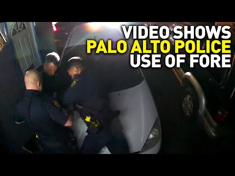 Video Shows Palo Alto Police Roughing Up Resident Over Suspended Driver’s License