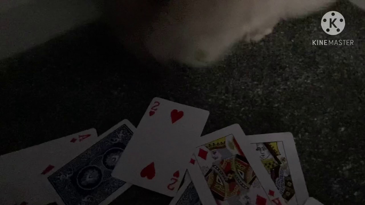 Hatter and white rabbit playing cards