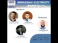 Iaee youth debate on wholesale electricity markets