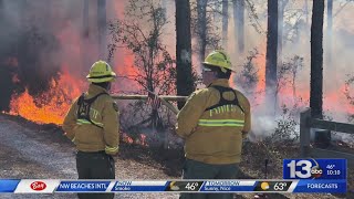 Forestry officials use aerial ignition for controlled burn