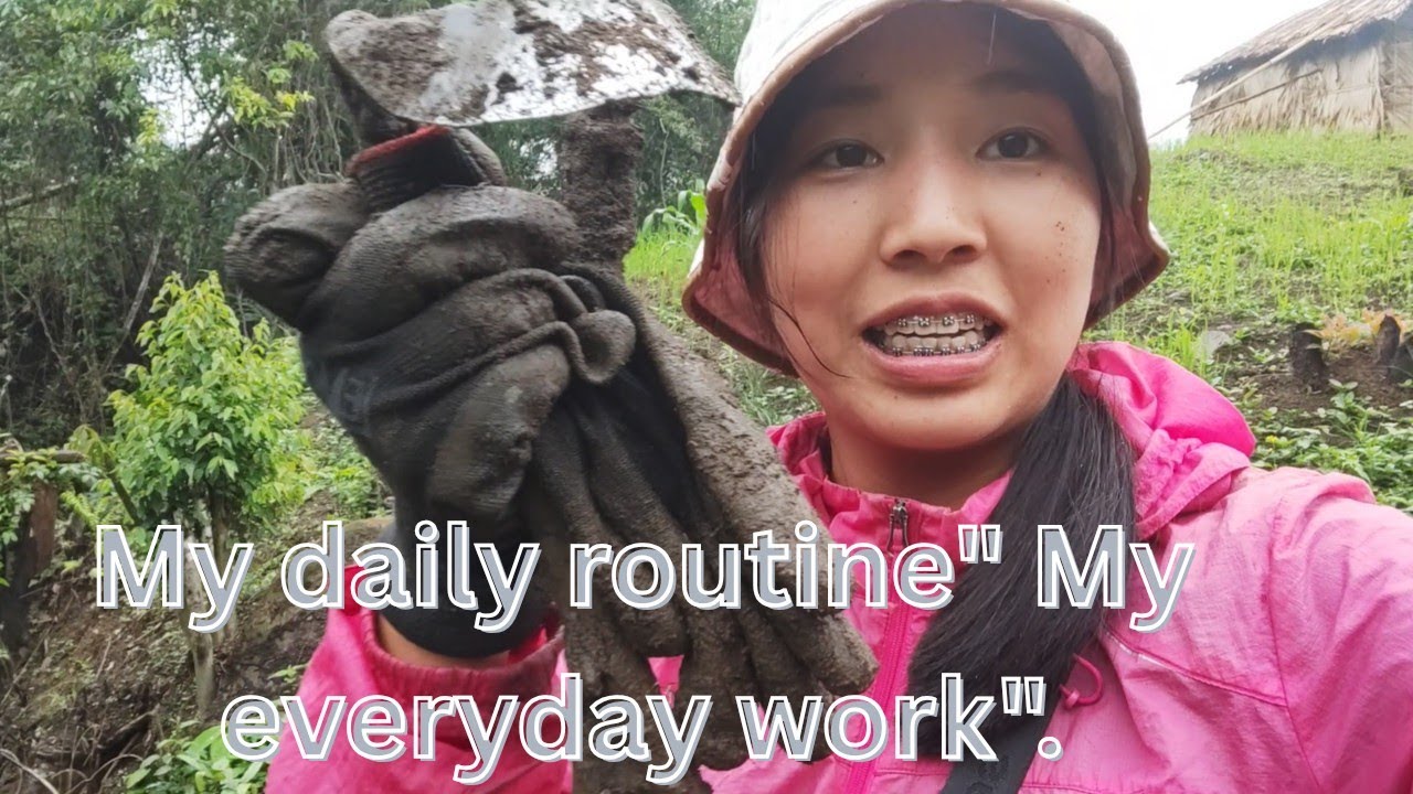 My Daily Routine | My Everyday Work | @alemnyemvlogs