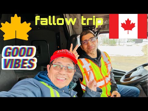 fallow trip