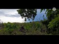 Safari Hunting Perbakin Sinjai Edisi Rehat Sambil Nunggu Buruan Dan Ditemani Kicauan Burung Part Mp3 - Mp4 Download