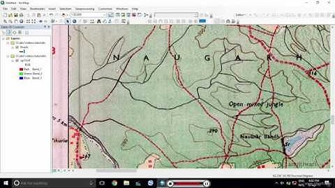 ESRI ArcGIS Creating Polyline Shp File