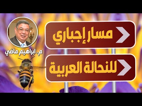 مسار اجباري للنحالة العربية