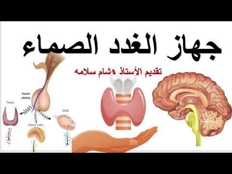 جهاز الغدد الصماء