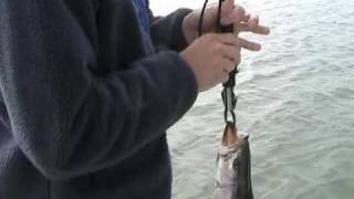 Nicole reeling a seven pound trout : Haddrell's Point Tackle
