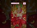 #JAI SANTOSHI MAA🌺🌹🥀❤️🌺💖🌹❤️🚩🥀
