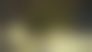 Elden Lord Boss Hunt Stream