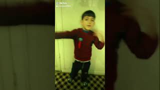 Xwezi Lıme Vegeryana Ayaz Ibrahim