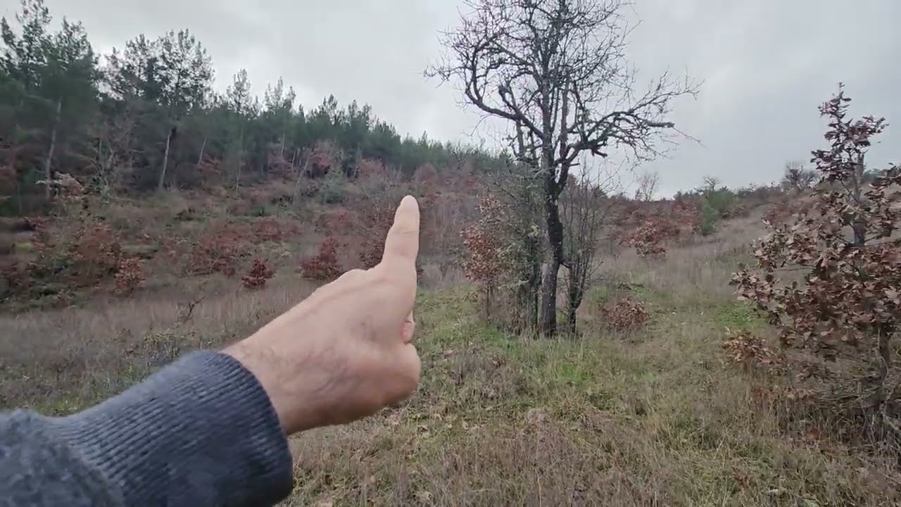 Satılık tarla 6 dönüm