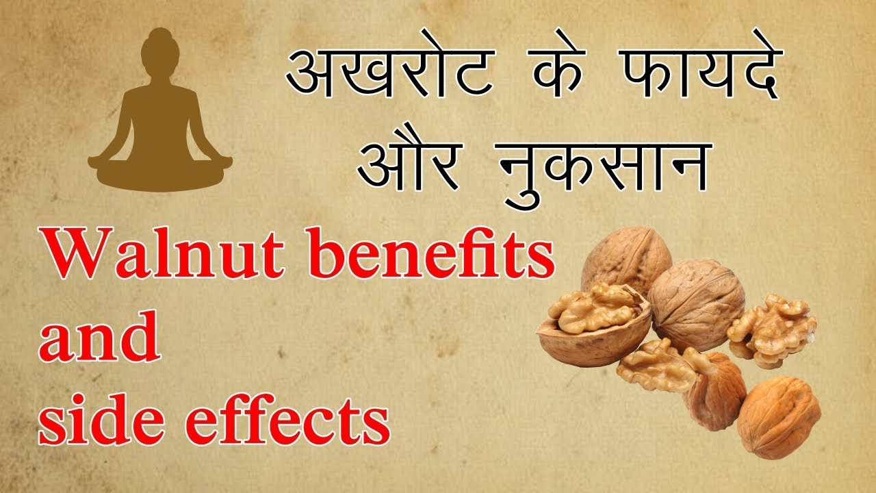 Walnut Benefits and Side Effects. Hindi Video YouTube