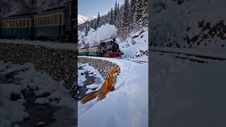 Winter vibes || view with vibes|| travel shorts video.#travel #winter #travelvlog #vibes #shorts