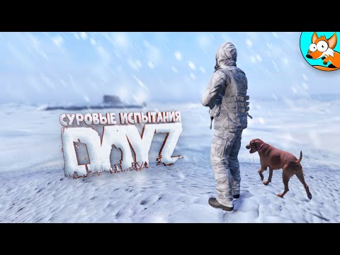 Видео: Самое сложное выживание в ледяном аду Намальска в DayZ #1