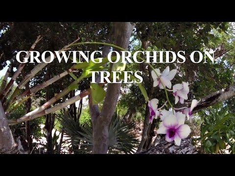 Growing