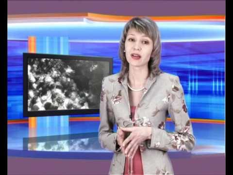 Страницы истории Чернушинского района Часть 8