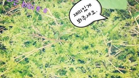 사진 슬라이드쇼.