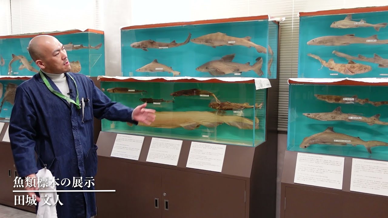 maxresdefault.jpg?sqp=-