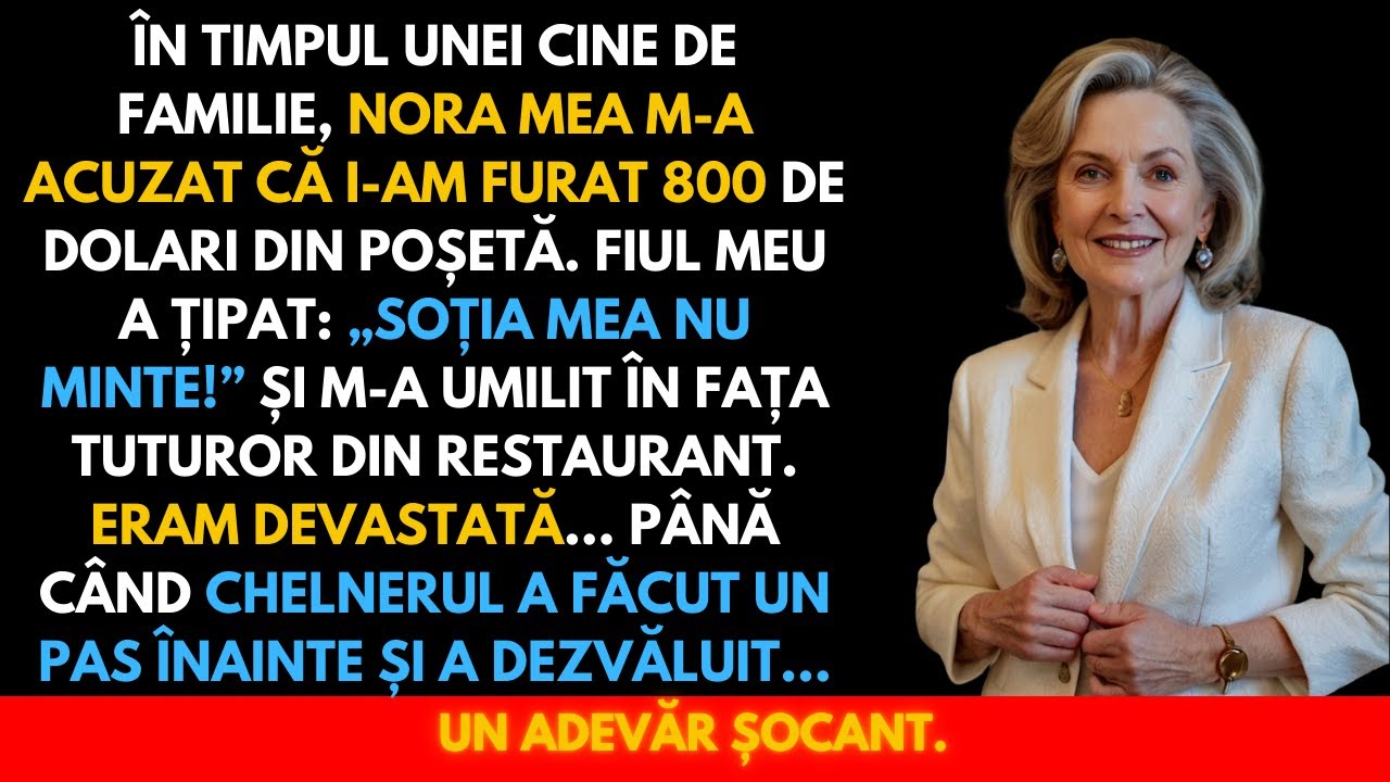 „Ai Furât 800 de Dolari!” – Nora M-a Umilit, Fiul Meu a Crezut-o… Până Când Chelnerul a Intervenit