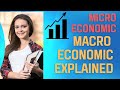 What is economic  micro vs macro inflation and deflation explained