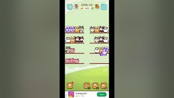 Cat Sort 141~145 #puzzle_daddy