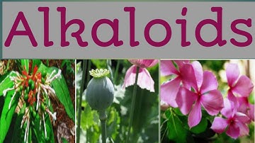 Alkaloids - Introduction|Identification|Property|Extraction #alkaloids
