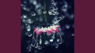 Rhythms of Cosmic Slumber