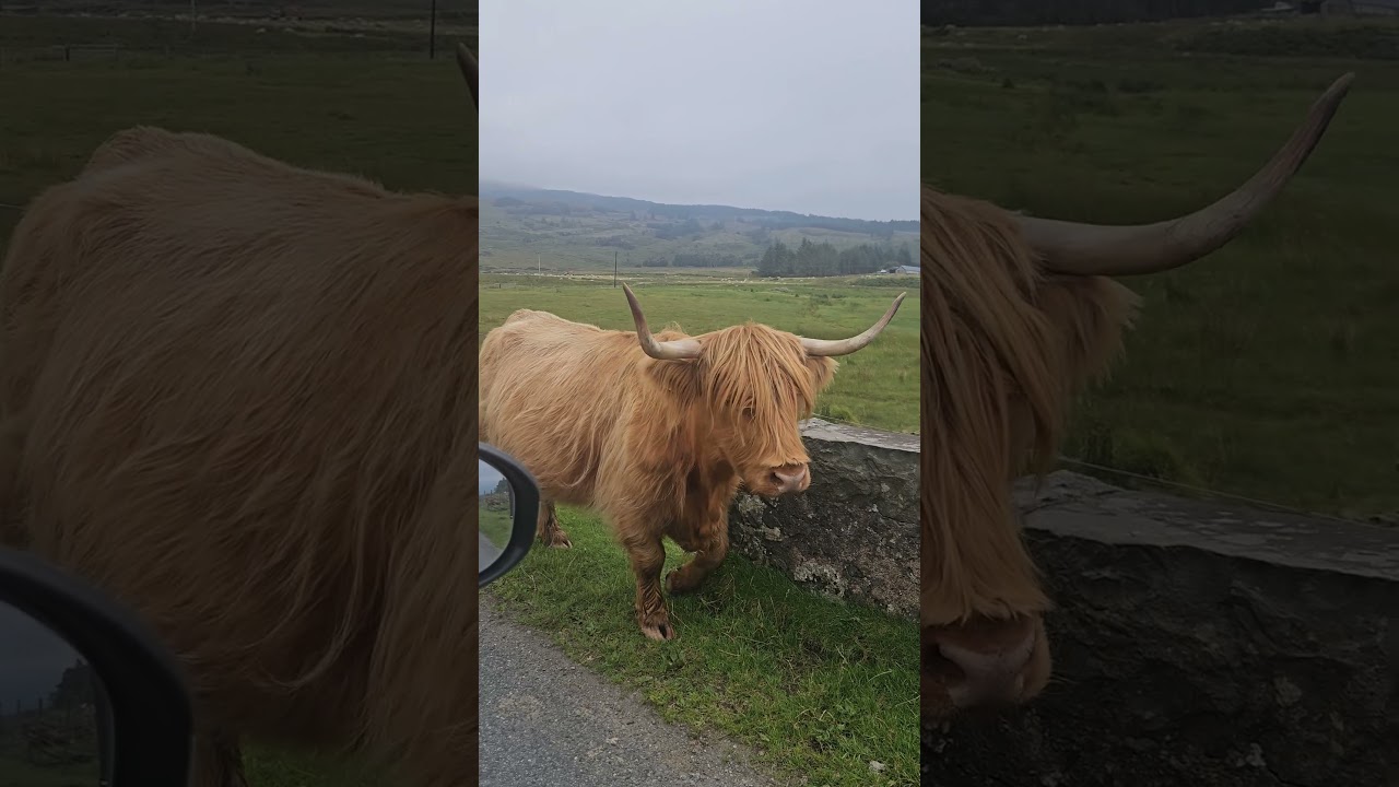 Самый крепкий замок Шотландии — Роксбург близ Келсо, на границе с Шотландией! 