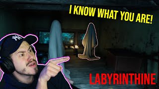 The Mystery of the House SOLVED - Labyrinthine - PART 6