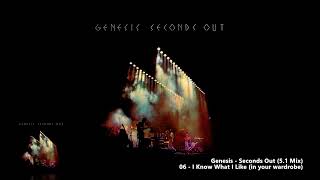 Genesis - 06 - I Know What I Like (in your wardrobe) (5.1 Mix)
