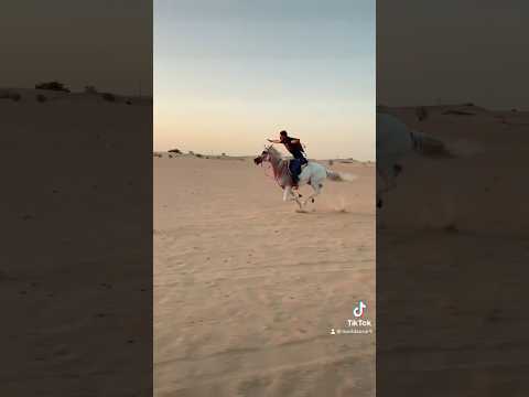 mery bad kis ko satao gay