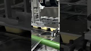 ✅One-step pure PP machine trial! Direct forming from raw material, bright &amp; clear products.💥