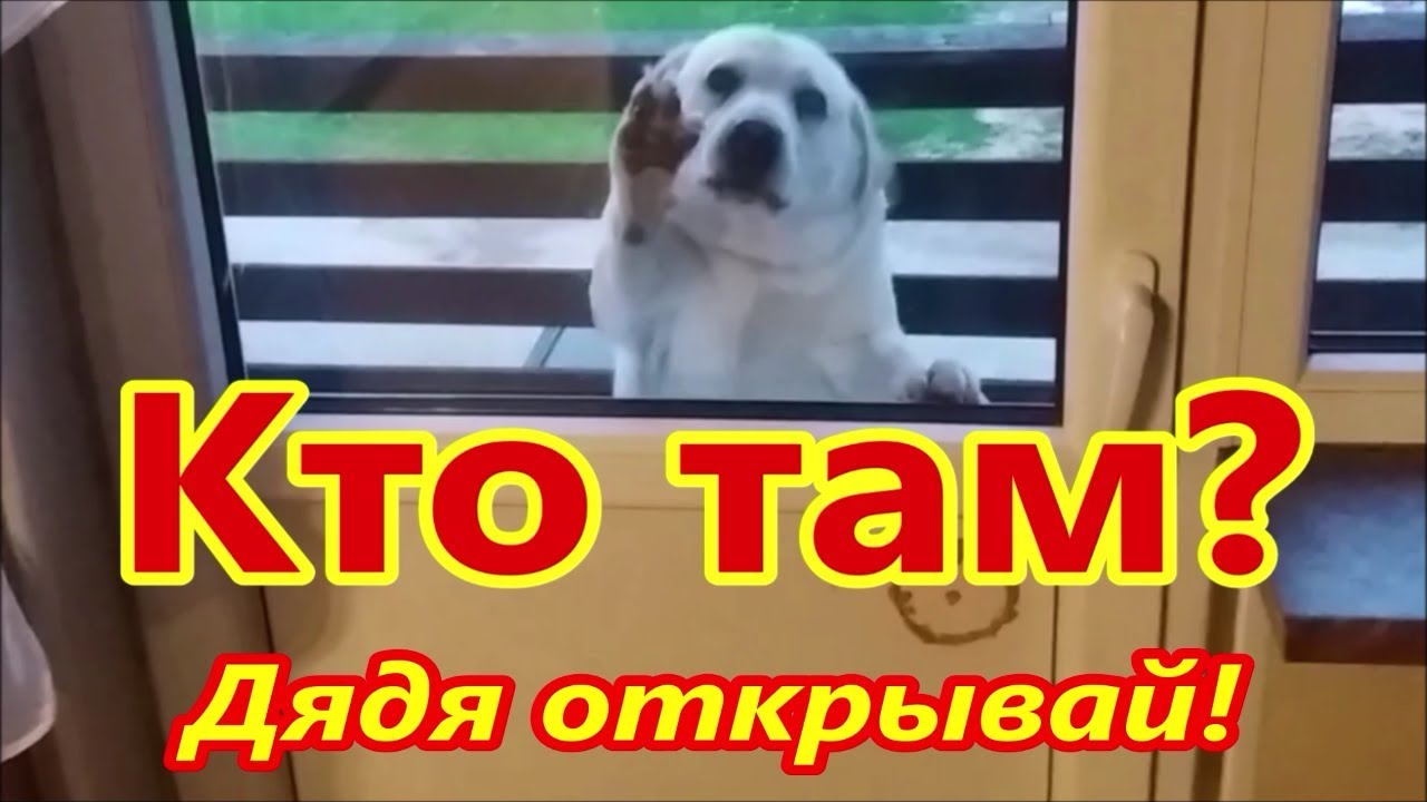 Кто там - YouTube