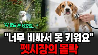 "너무 비싸서 못 키워요" 펫시장의 몰락 [이슈임당]