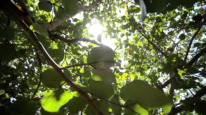 What is Environmental and Occupational Health?