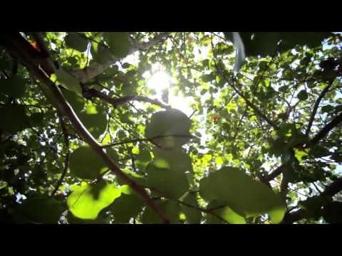 What Is Environmental And Occupational Health