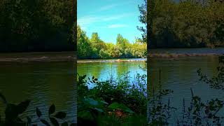 🇪🇸 🌳 🌄 Río Sil (O Barco de Valdeorras) #Senderismo #Galicia #España #Shorts