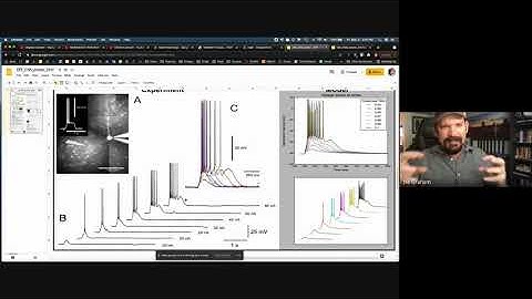 NetPyNE2021 24 Parameter exploration & optimization 2