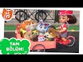 44 Kedi | Sezon 2 Bölüm 4 - Çok Özel Bir Kız!  [TAM BÖLÜM]