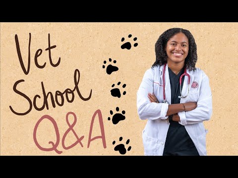 veterinary-school,-sgu,-&-grenada-q&a-|-timestamps-added
