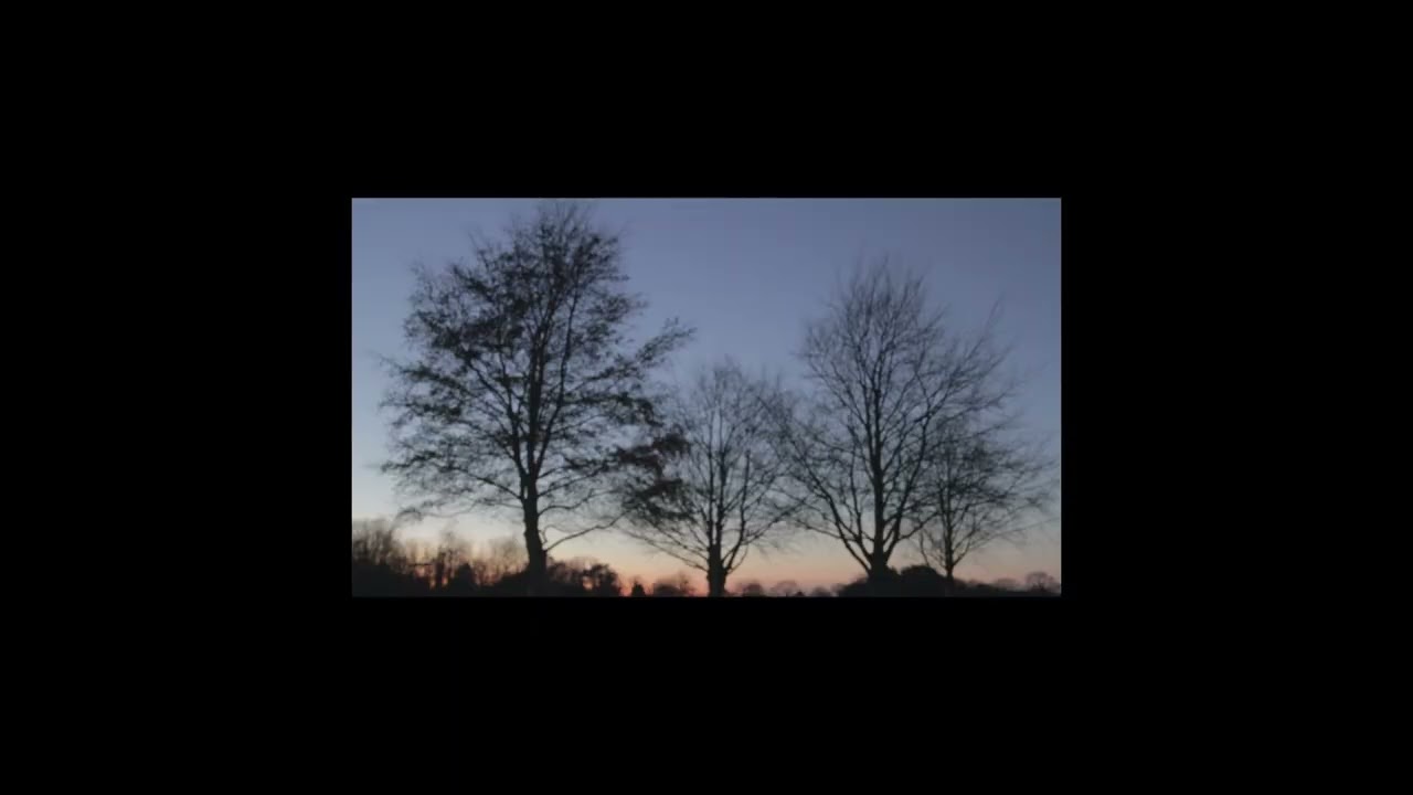 Watch Man at Sea - Sunday Evening (Official Visualiser) on YouTube Watch Man at Sea - Sunday Evening (Official Visualiser) on YouTube