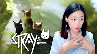 무리와 떨어진 길냥이의 모험 사이버펑크 고양이 게임 Stray screenshot 5