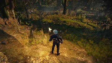 Contract: Mysterious Tracks