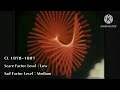TV Asahi Opening Closing 1978 1987 Cute CUT For Android