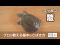 鼈（すっぽん）のさばき方 - How to filet Soft-shelled Turtle -｜日本さばけるプロジェクト