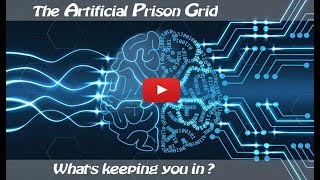 The Artificial Prison Grid
