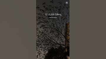 #quran #قرأن#ياسر_الدوسري #سورة_المؤمنون