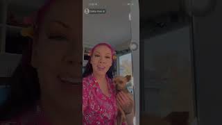 Salice rose TikTok live